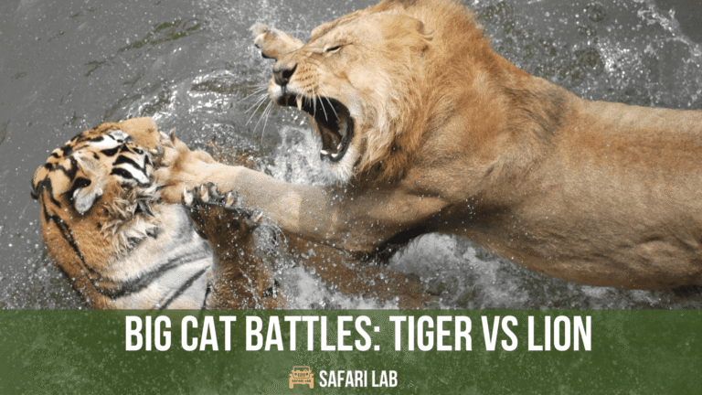 Unveiled: The Strongest Big Cat in the Wild