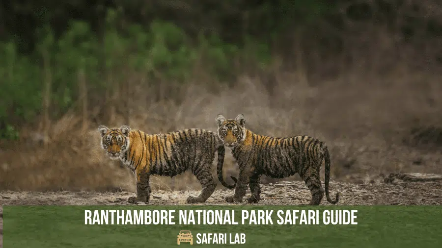 ranthambore national park