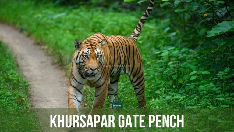 Khursapar Gate - The Best Kept Secret of Pench National Park