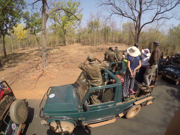 Tadoba guides