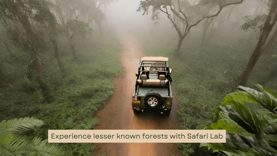 At Safari Lab, we love to explore lesser known parks for the exclusivity they provide