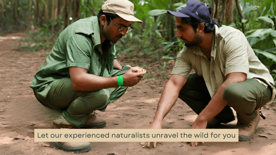 Safari Lab works with skilled and experienced naturalists