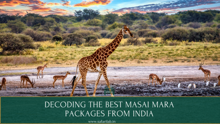 Decoding The Best Masai Mara Packages from India
