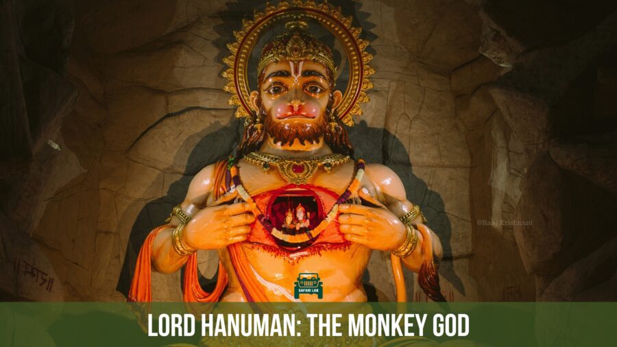 lord hanuman - the monkey god gives monkeys in india a sacred connection