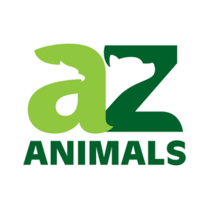 A-Z Animals
