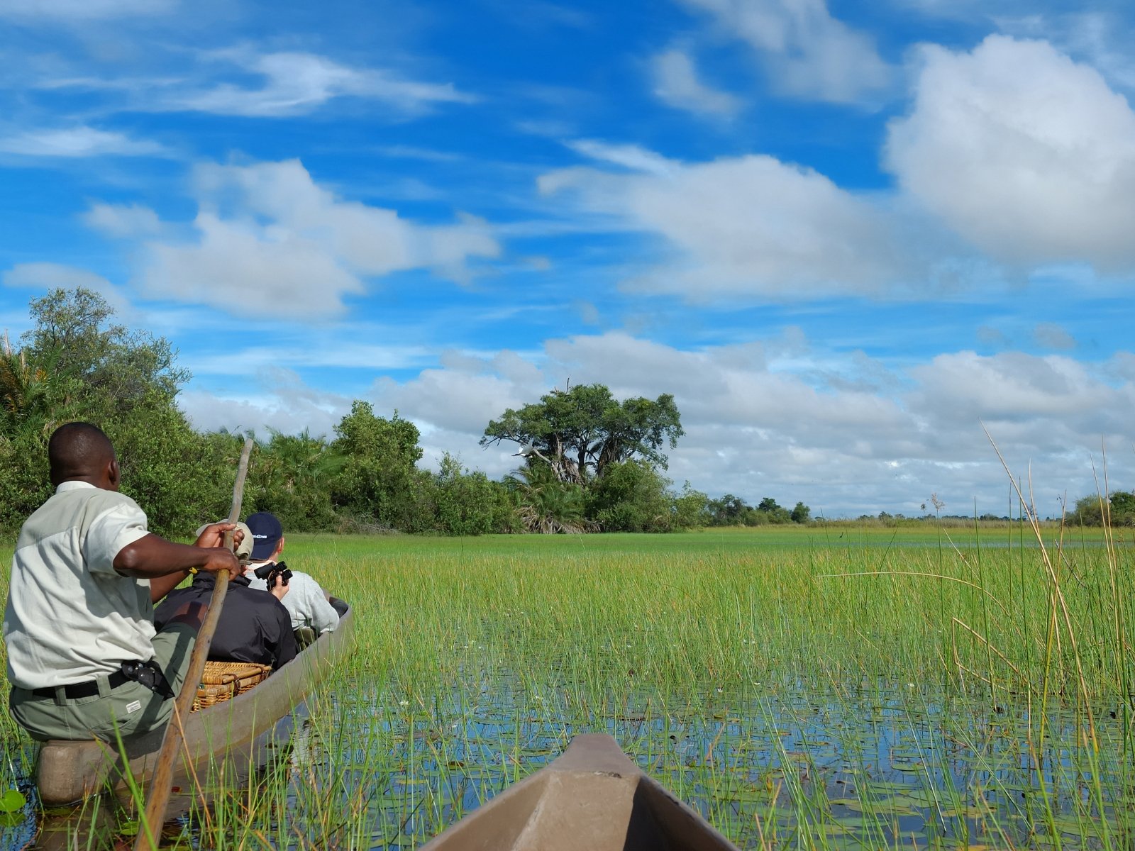 Mokoro safari through the waterways of the Okavango Delta, Botswana