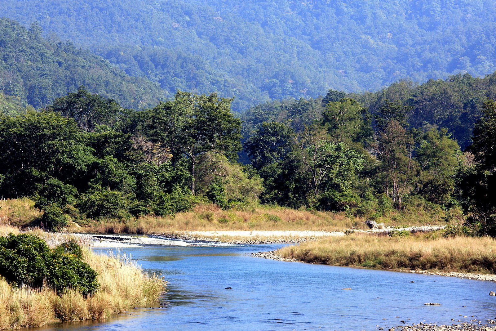 Dhikala landscape in Jim Corbett National Park
