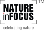Nature inFocus