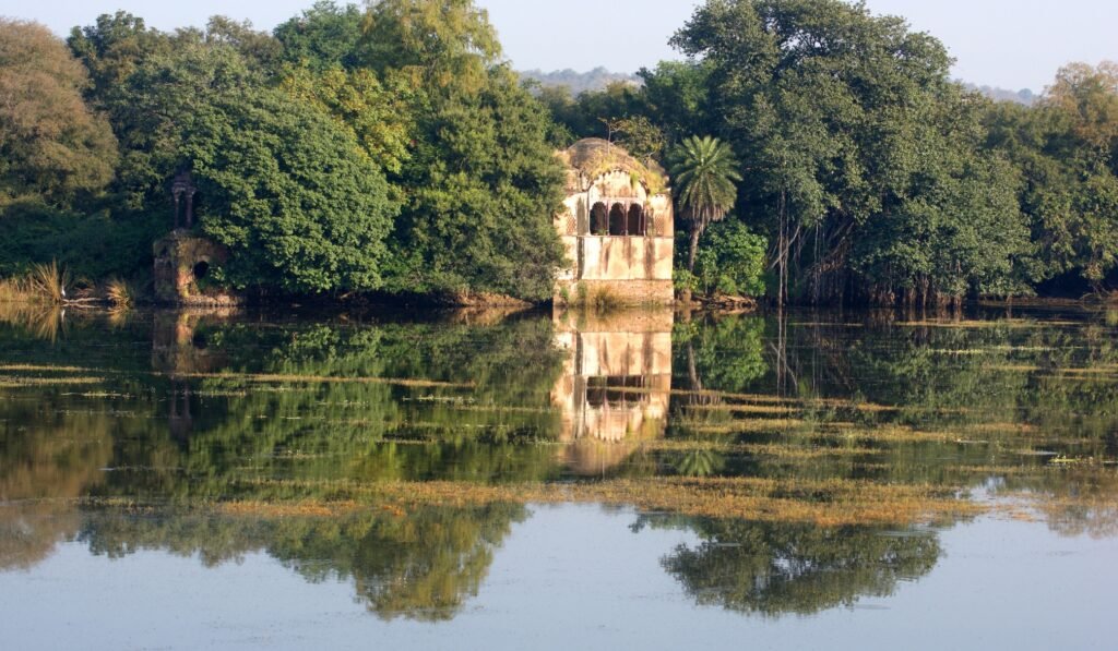 Ranthambore National Park wildlife and forest landscape