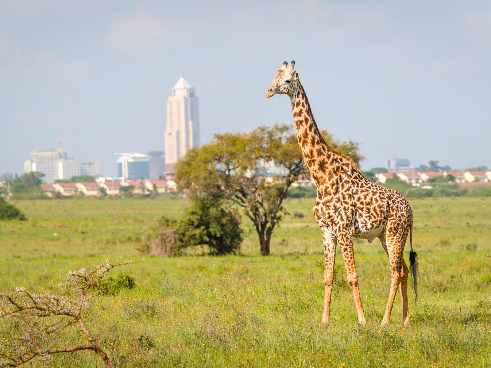 Team spending time together on a wildlife trip