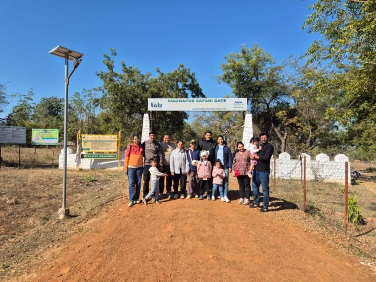 Safari Lab guests at Madnapur Gate, Tadoba — January 2025