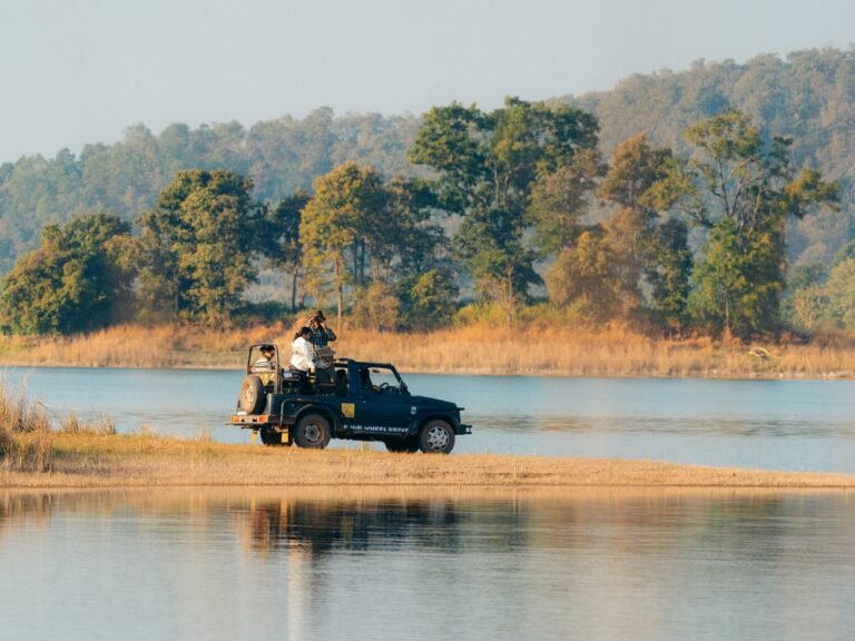 How many tiger safaris should you book in india? Safari road through the forest in Sanjay Dubri Tiger Reserve