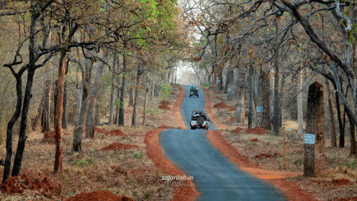 habitat destruction in Tadoba National Park Tadoba habitat
