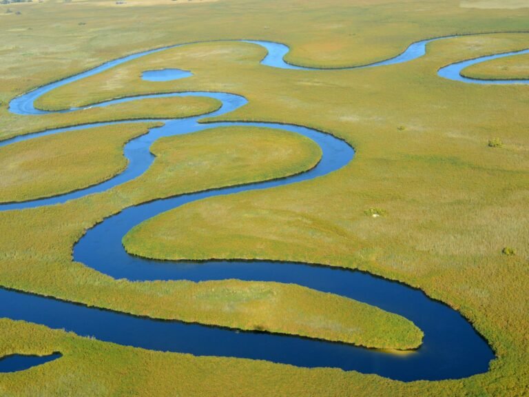 Okavango Delta channels and floodplain in Botswana
