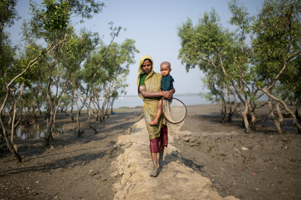 Mangrove landscape in the Sundarbans