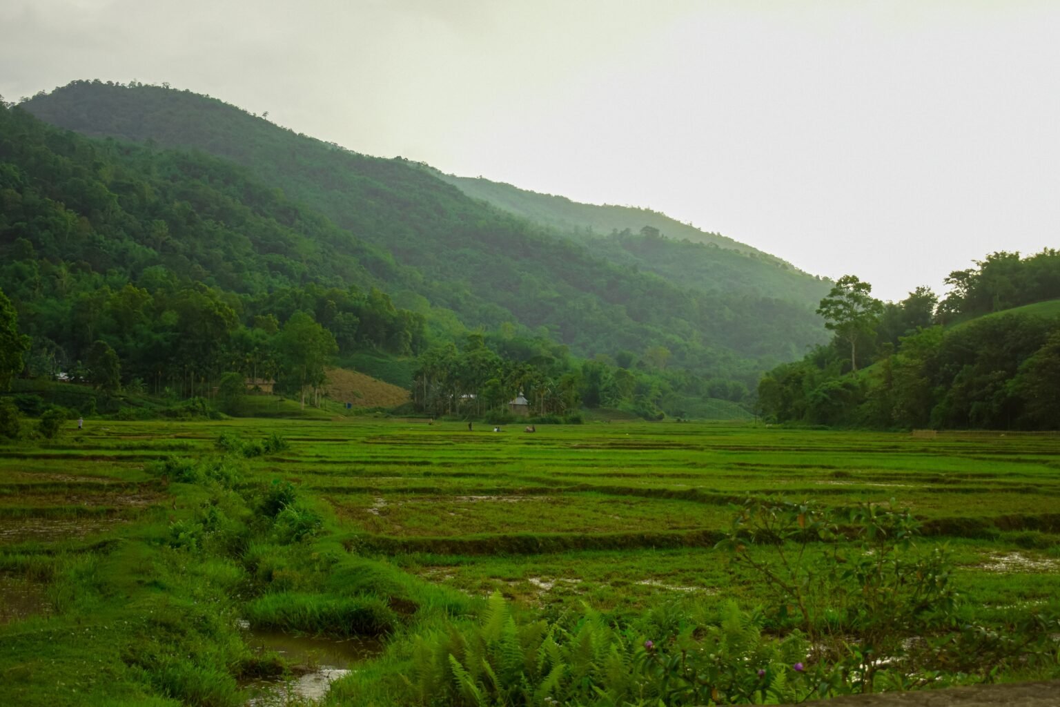 Karbi Anglong hills near Kaziranga, part of the wider landscape and catchment